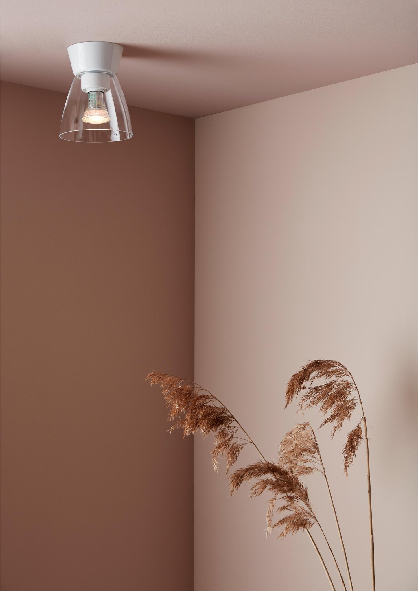 Bizzo Ceiling