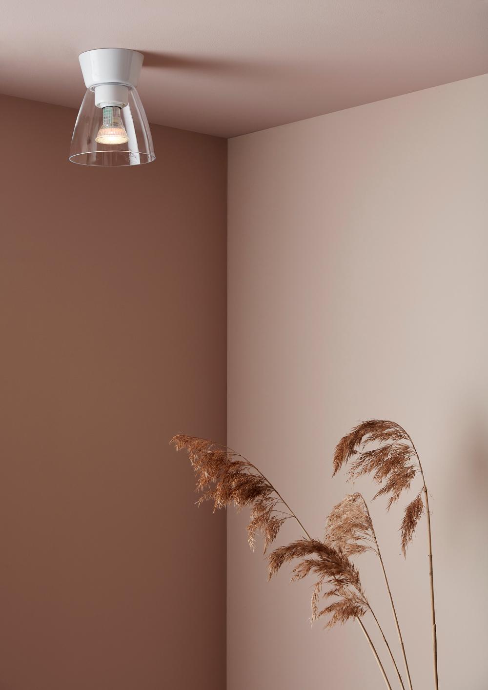 Bizzo Ceiling
