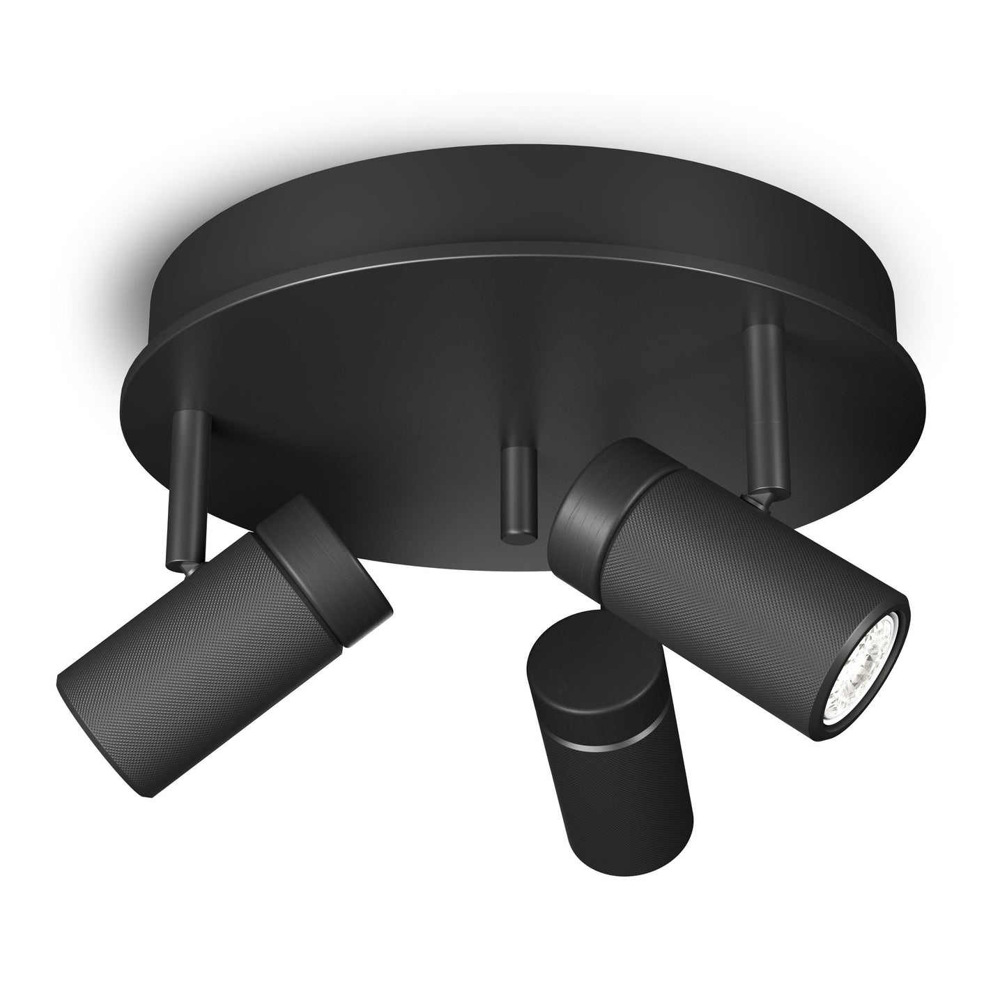 Holder Spotlight Round