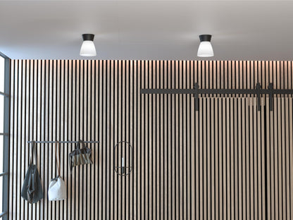 Bizzo Ceiling