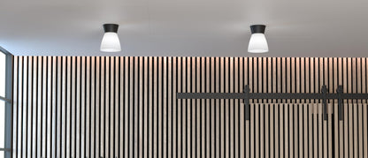 Bizzo Ceiling